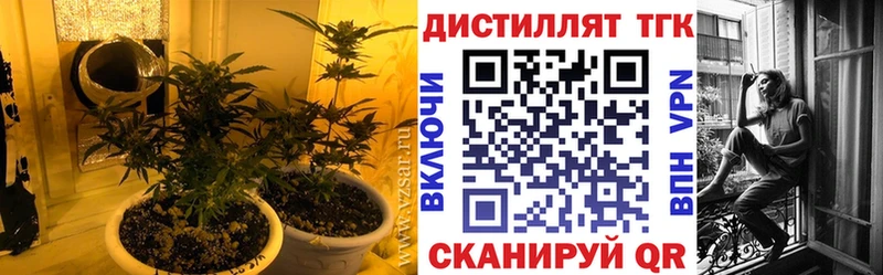 ТГК Wax  Хасавюрт 