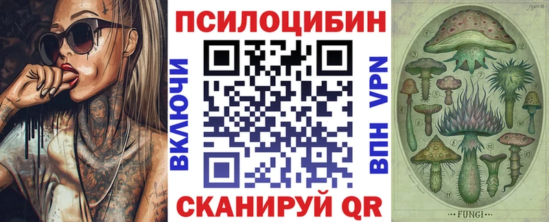 Псилоцибиновые грибы GOLDEN TEACHER  Хасавюрт 